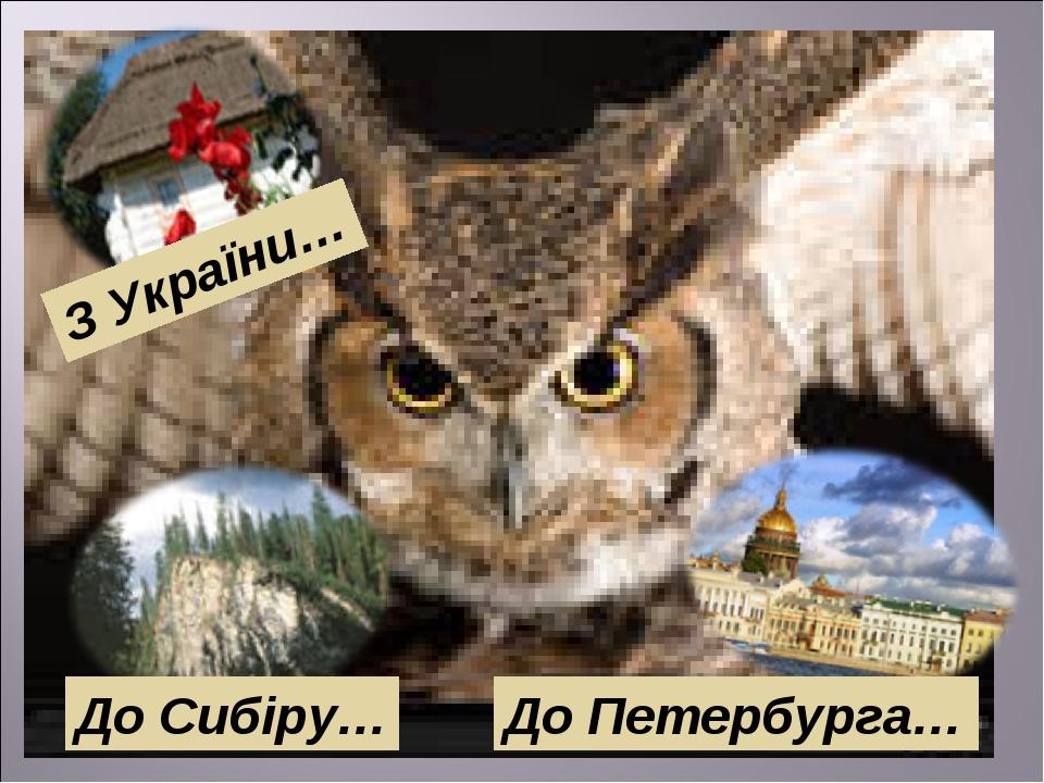 З України… До Сибіру… До Петербурга…