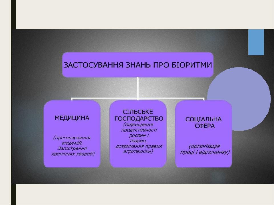 Реферат: Біоритми організму Добові біоритми Вплив місяця на добові біоритми