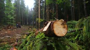 Позакласний захід.  «Україна лисіє»