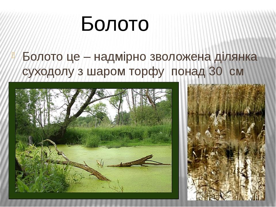 Проект на тему болото. Болото картинка для презентации. Всесвітній день водно- болотних угідь. Топи да болота.