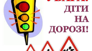 Лепбук "Мій друг - дорожній рух"