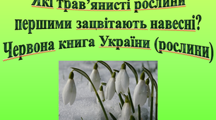 Презентація "Червона книга України (рослини)"