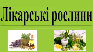 Розробка уроку : "Лікарські рослини". Презентація