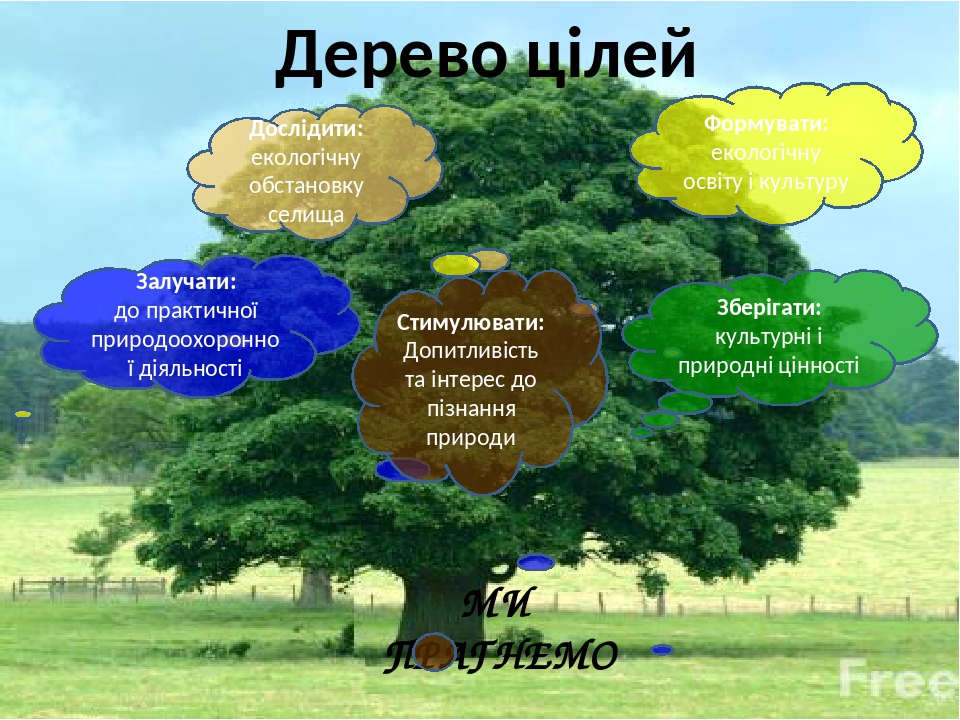 Растения мордовии проект