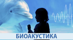 Механічні коливання і хвилі. Біоакустика.