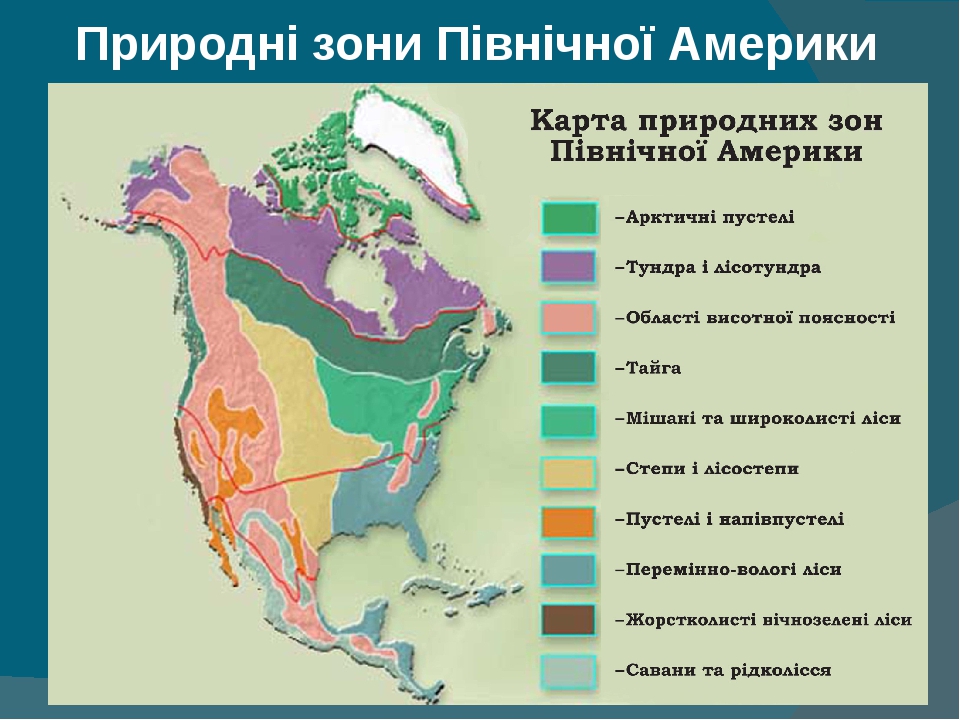 Описание по плану природной зоны северной америки