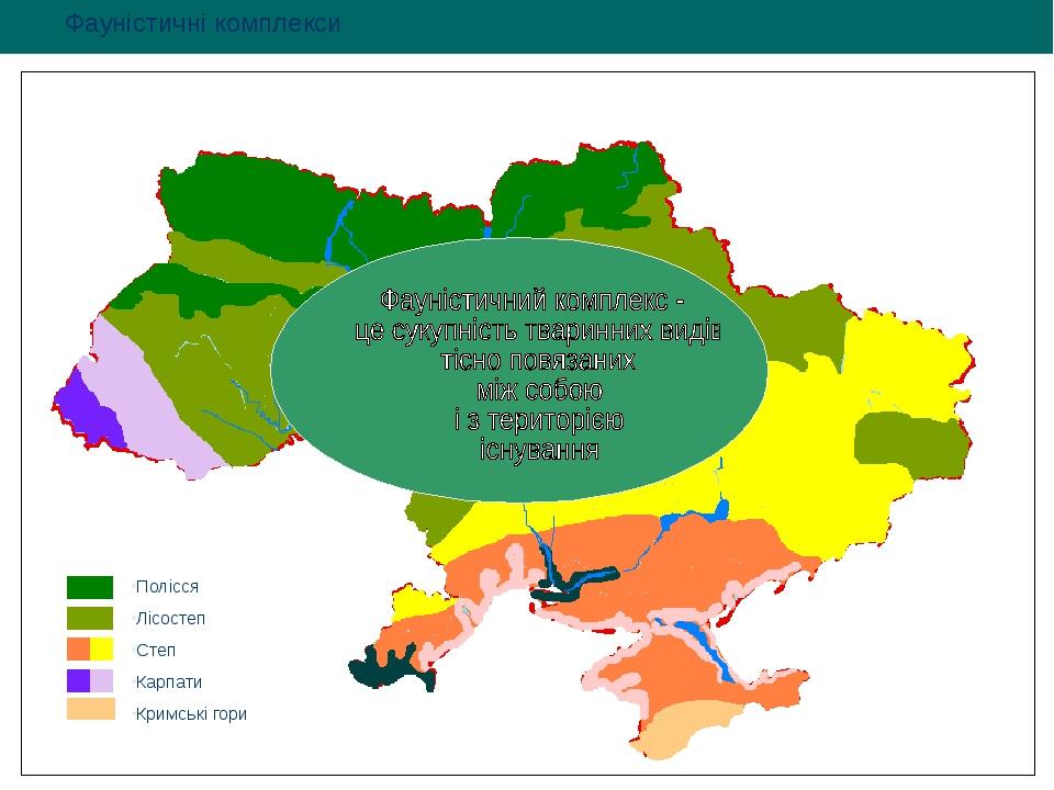 Полісся Лісостеп Степ Карпати Кримські гори Фауністичні комплекси