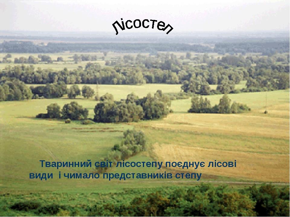 Тваринний світ лісостепу поєднує лісові види і чимало представників степу