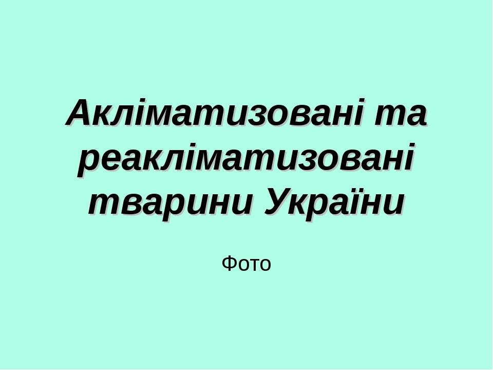 Акліматизовані та реакліматизовані тварини України Фото