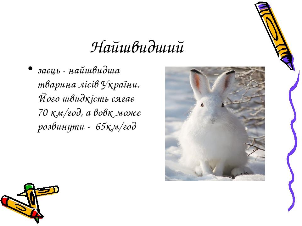 Найшвидший заєць - найшвидша тварина лісів України. Його швидкість сягає 70 км/год, а вовк може розвинути - 65км/год