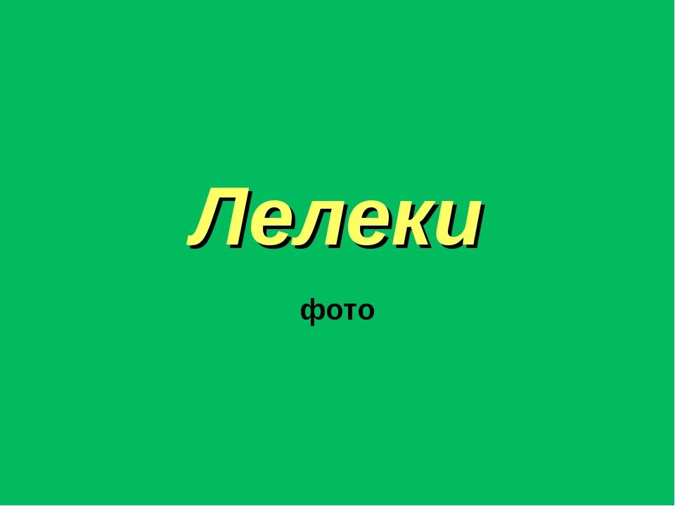 Лелеки фото