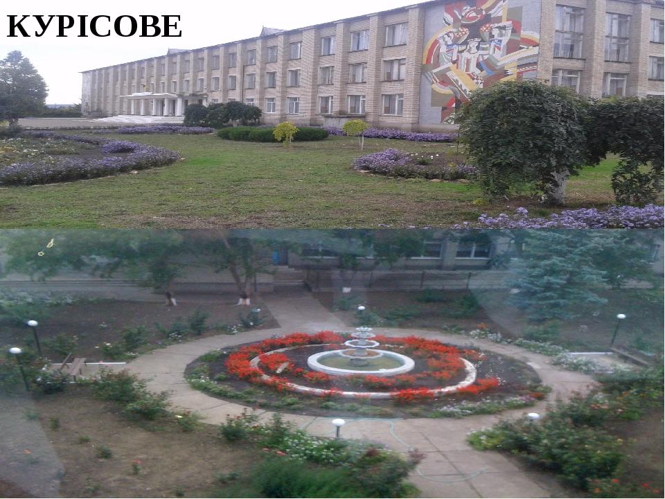 КУРІСОВЕ