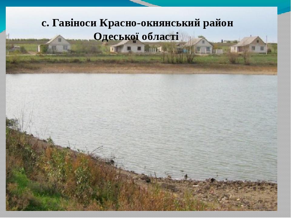 с. Гавіноси Красно-окнянський район Одеської області