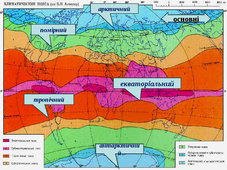 В каком климатическом поясе сделана эта фотография