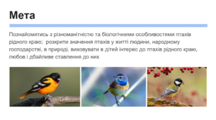 Презентація на тему - "Птахи - наші друзі"