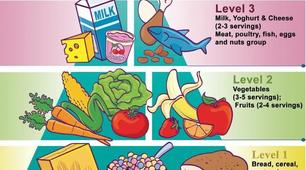 Healthy eating ( 6 клас, підручник А. Несвіт)
