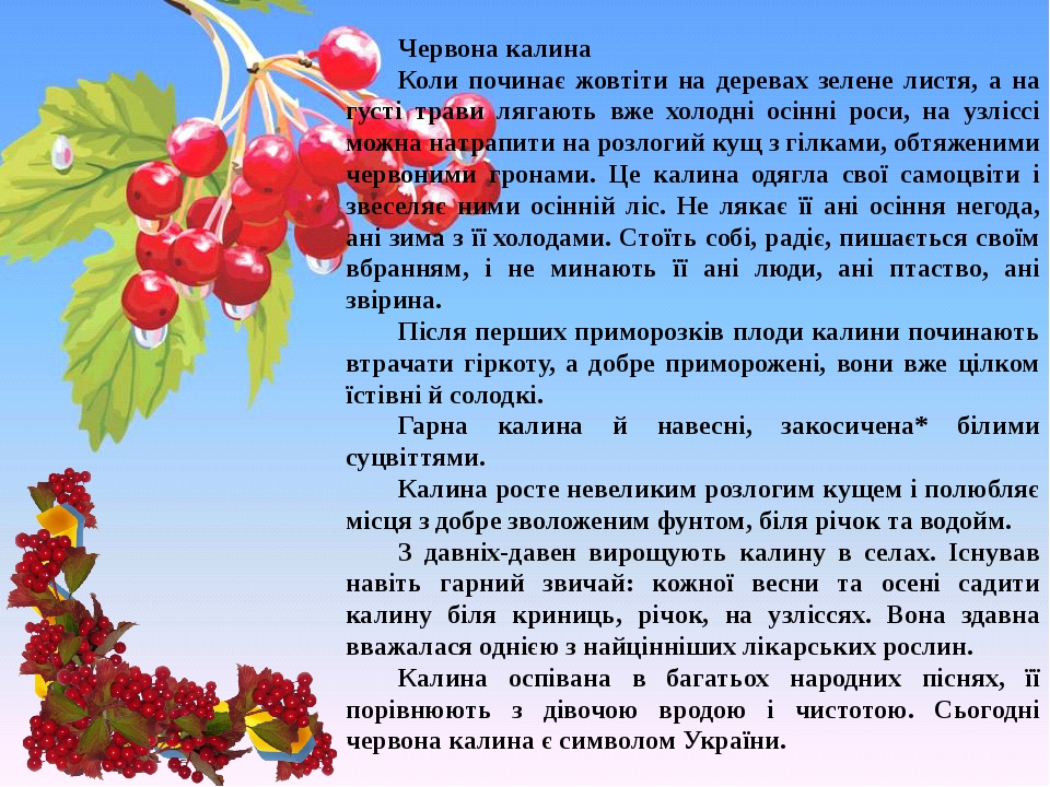 Червона калина слова