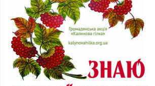 Підручник 10 класу українська мова (профільний рівень)