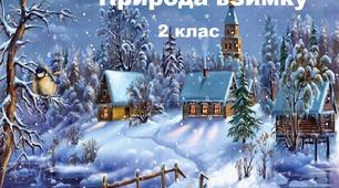 Контрольна робота  з природознавства. «Природа взимку». 2 клас