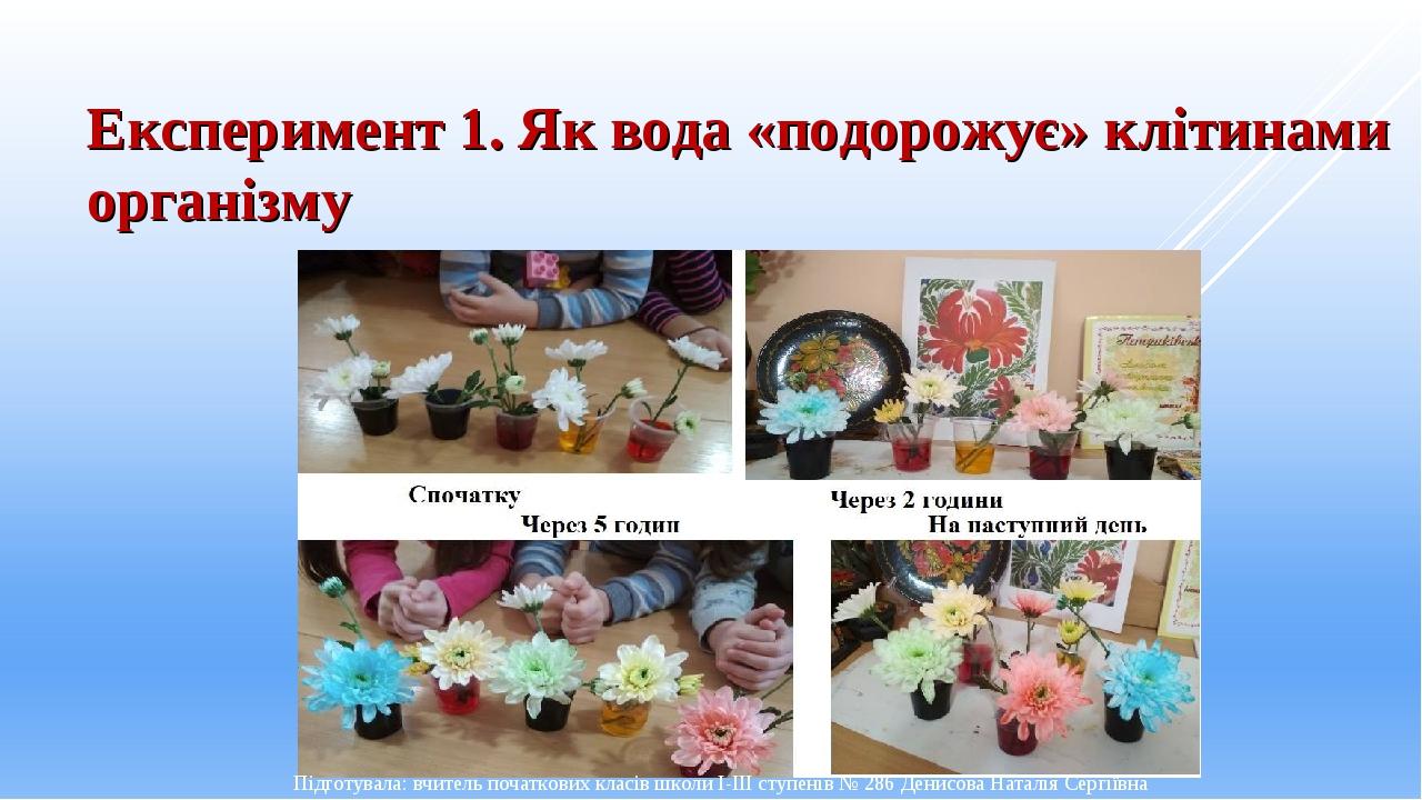 Експеримент 1. Як вода «подорожує» клітинами організму Підготувала: вчитель початкових класів школи І-ІІІ ступенів № 286 Денисова Наталія Сергіївна