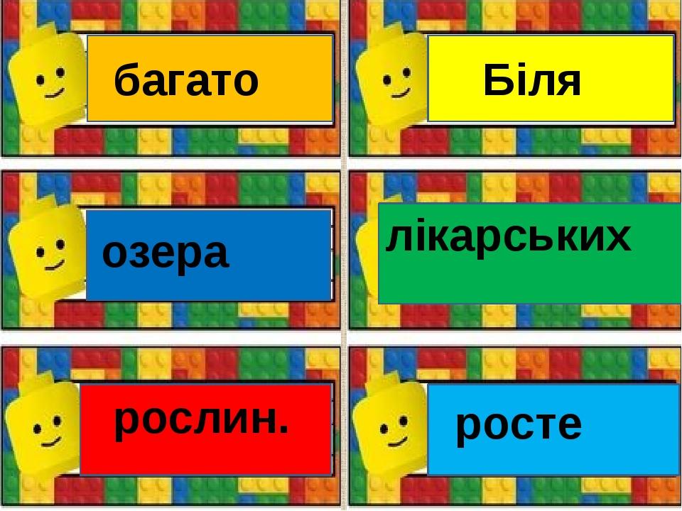 озера рослин. багато Біля лікарських росте