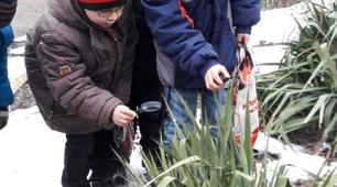 Презентація до уроку природознавства 2 клас "Ожеледиця, заметіль, замерзання водойм".