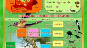 Організація та проведення лабораторних досліджень при викладанні біології в 7 класах за новою програмою