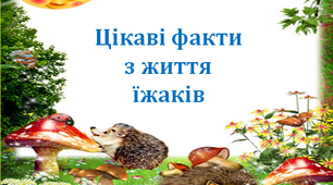 3 клас НУШ. Я досліджую світ. Цікаві факти з життя їжаків