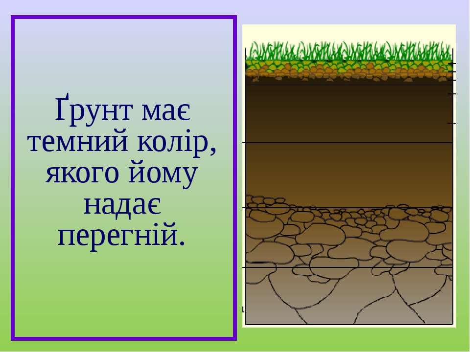 Презентація "Грунт та його значення