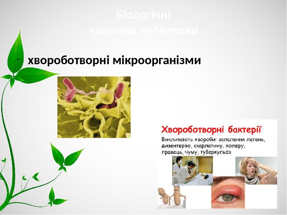 Біологічні чинники небезпеки хвороботворні мікроорганізми