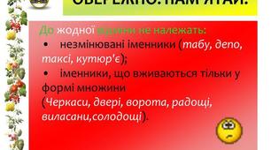 Урок "Незмінювані  іменники. Відмінювання  іменників,  що  мають  лише  форму  множини"