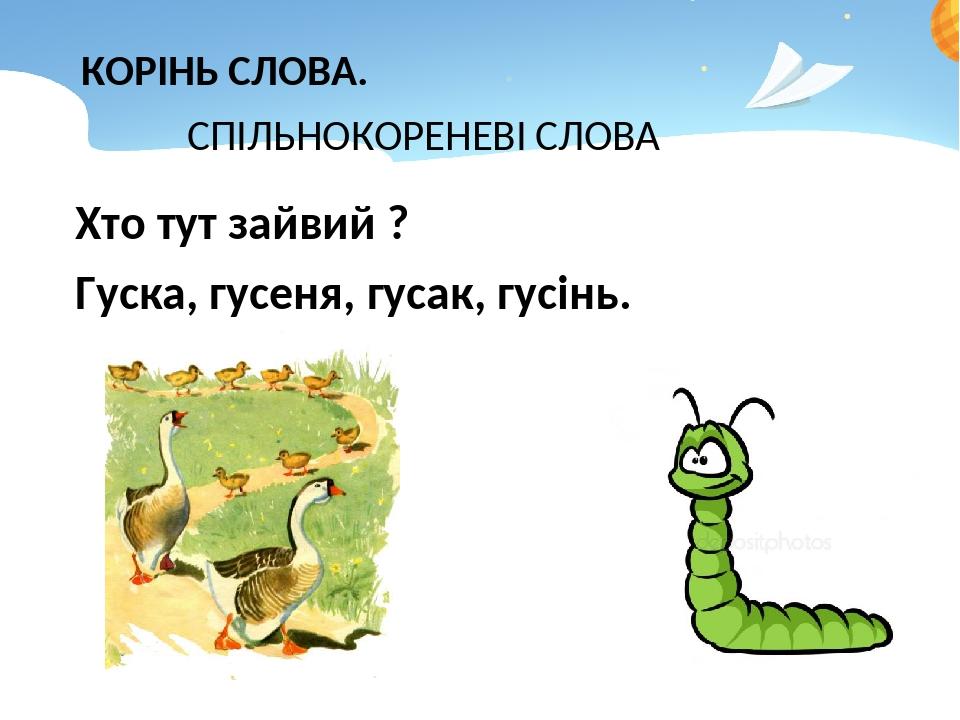 Корінь слова. Спільнокореневі слова. 2 клас | Презентація. Українська мова