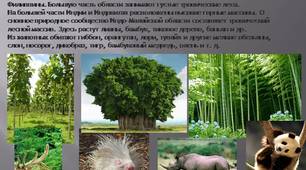 Всеосвіта