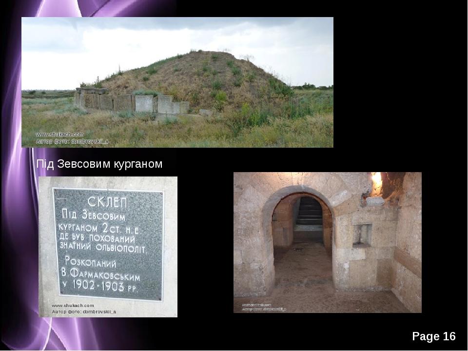 Під Зевсовим курганом Page *