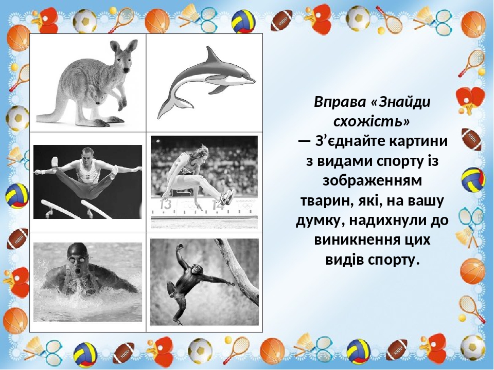 Вправа «Знайди схожість» — З’єднайте картини з видами спорту із зображенням тварин, які, на вашу думку, надихнули до виникнення цих видів спорту.