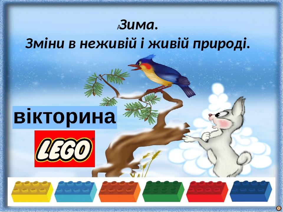  Зима. Зміни в неживій і живій природі.