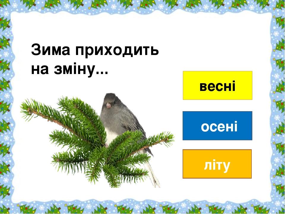 Зима приходить на зміну...                                       весні осені літу