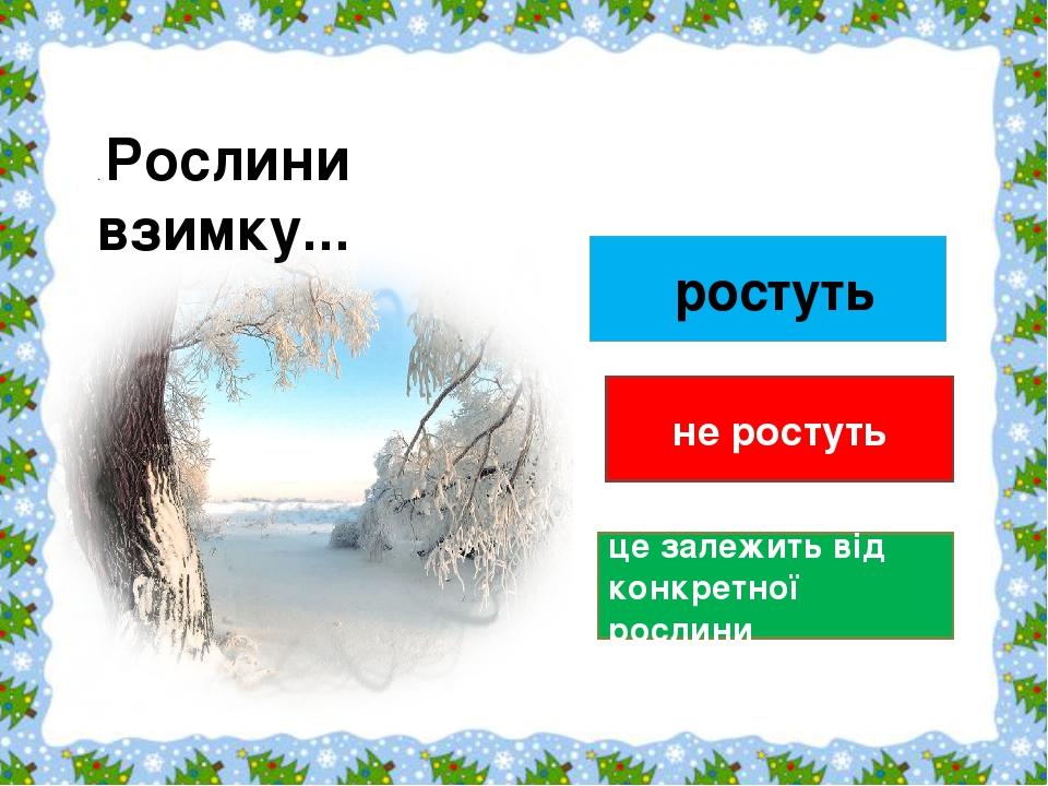  ростуть не ростуть це залежить від конкретної рослини . Рослини взимку...                                            