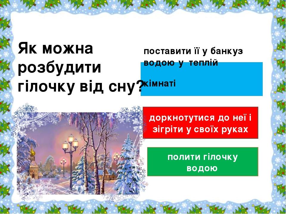поставити її у банкуз водою у теплій кімнаті                           доркнотутися до неї і зігріти у своїх руках полити гілочку водою Як можна ро...