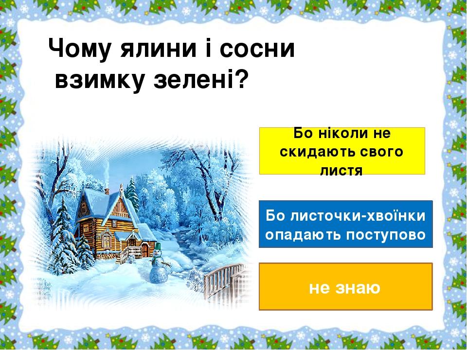 Бо ніколи не скидають свого листя Бо листочки-хвоїнки опадають поступово не знаю Чому ялини і сосни взимку зелені?                             