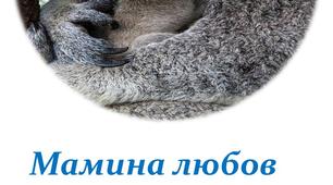 Презентація"Мамина любов безмежна".Добірка зображень тварин з малюками.1-4 клас.