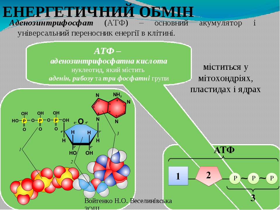 Атф приложение не работает