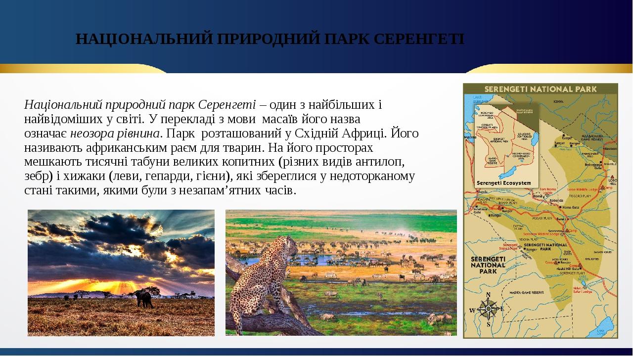 НАЦІОНАЛЬНИЙ ПРИРОДНИЙ ПАРК СЕРЕНГЕТІ  Національний природний парк Серенгеті – один з найбільших і найвідоміших у світі. У перекладі з мови  масаїв...
