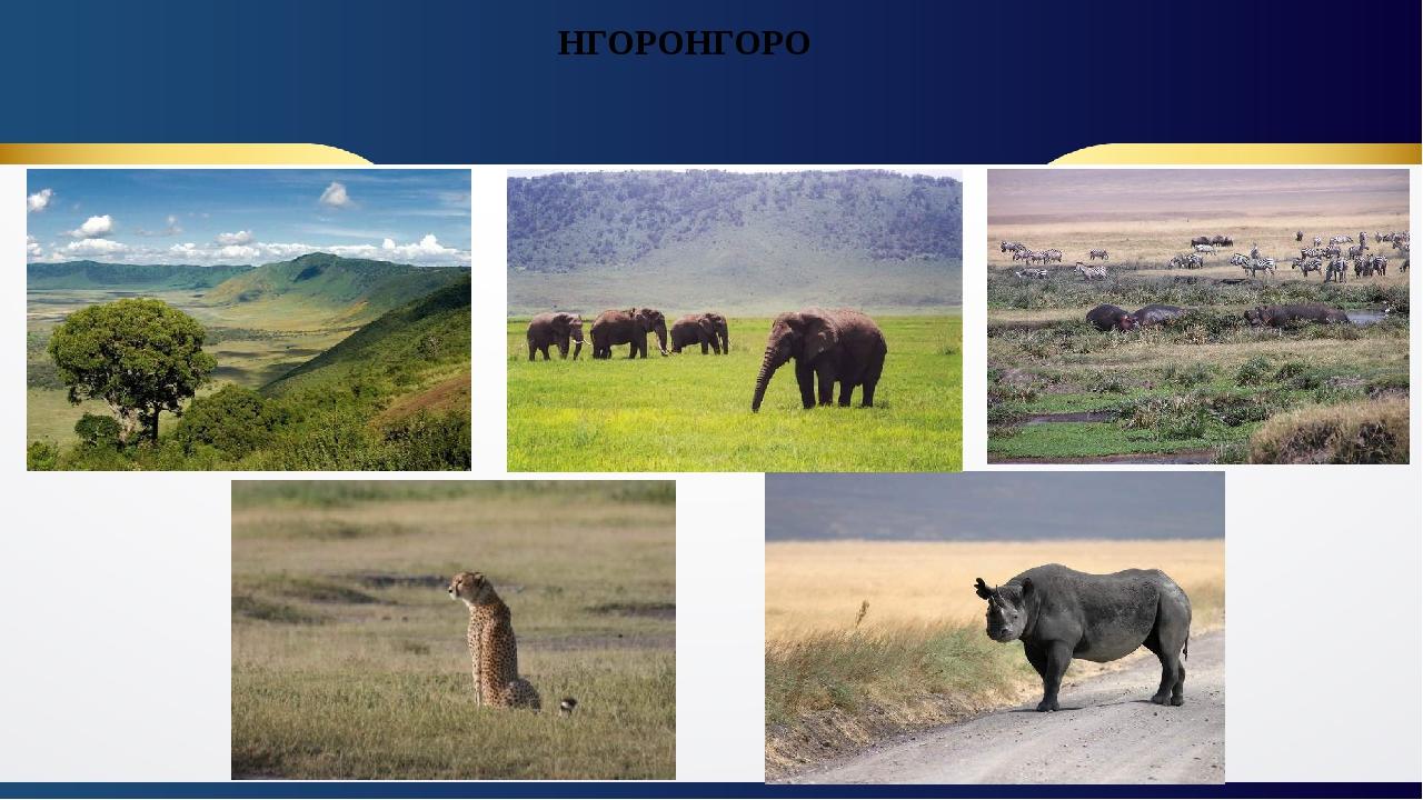 НГОРОНГОРО