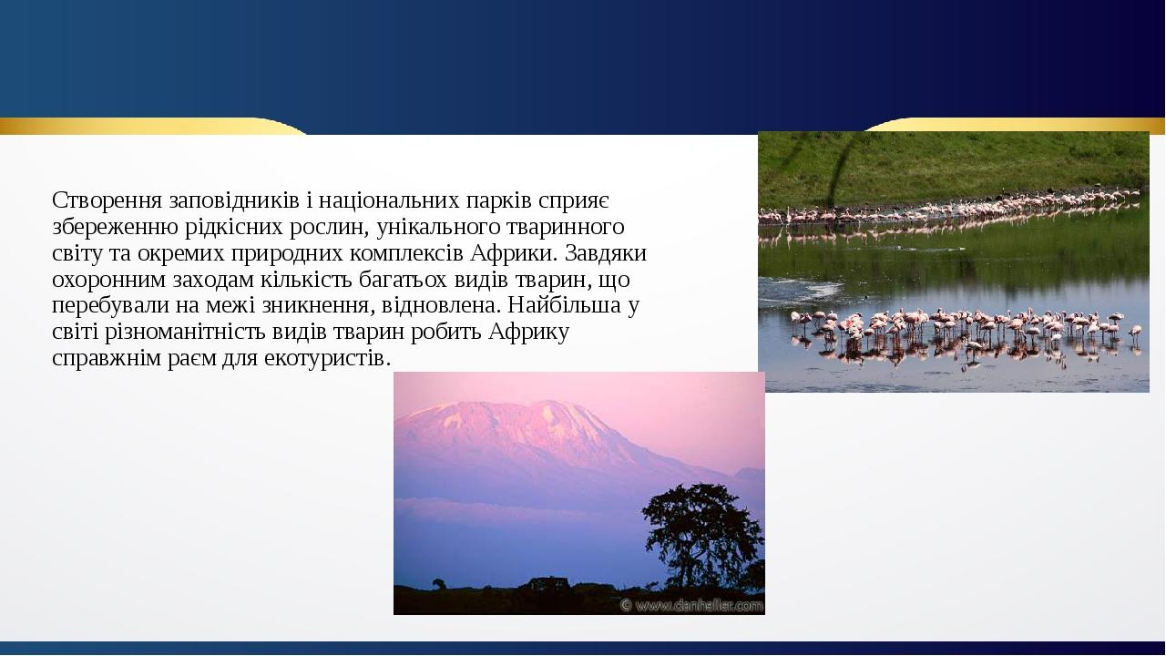 Створення заповідників і національних парків сприяє збереженню рідкісних рослин, унікального тваринного світу та окремих природних комплексів Африк...