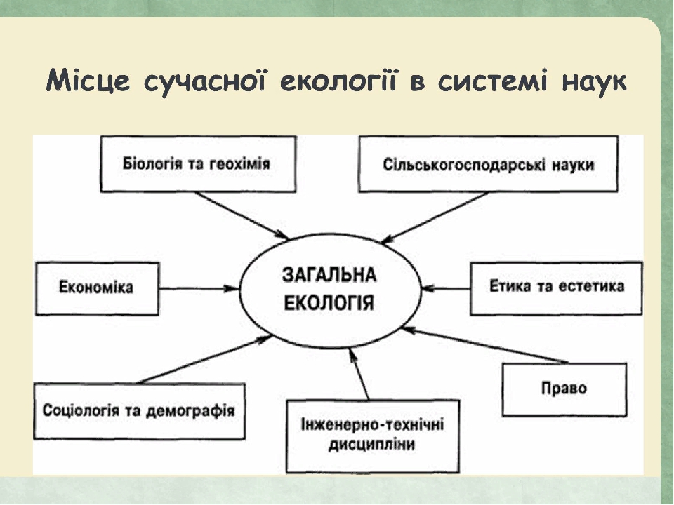 Политическое сознание план конспект 11 класс