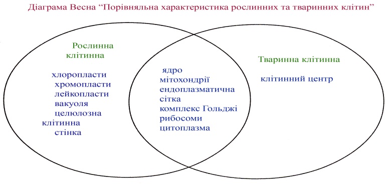 Urok Z Biologiyi U 9 Klasi Na Temu Porivnyalna Harakteristika Klitin Prokariotiv I Eukariotiv