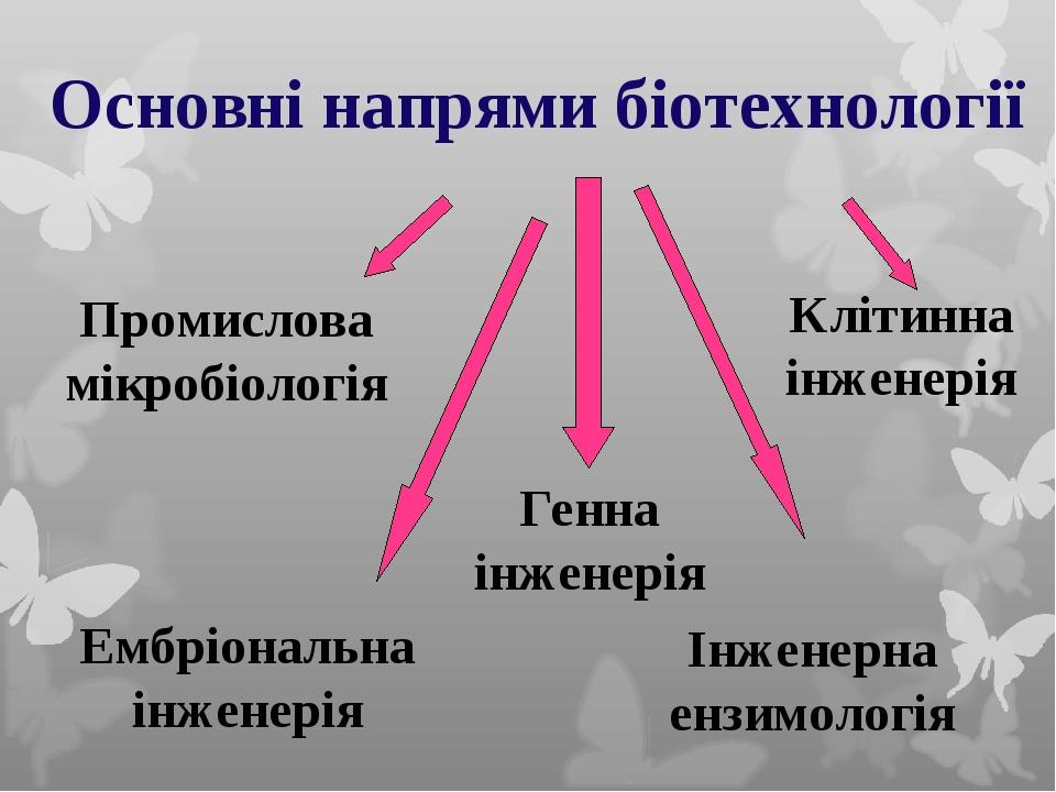 Основні напрями біотехнології Генна інженерія Промислова мікробіологія Інженерна ензимологія Клітинна інженерія Ембріональна інженерія