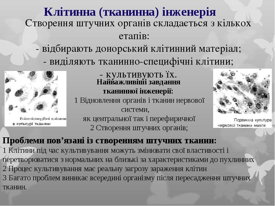 Клітинна (тканинна) інженерія Створення штучних органів складається з кількох етапів: - відбирають донорський клітинний матеріал; - виділяють ткани...