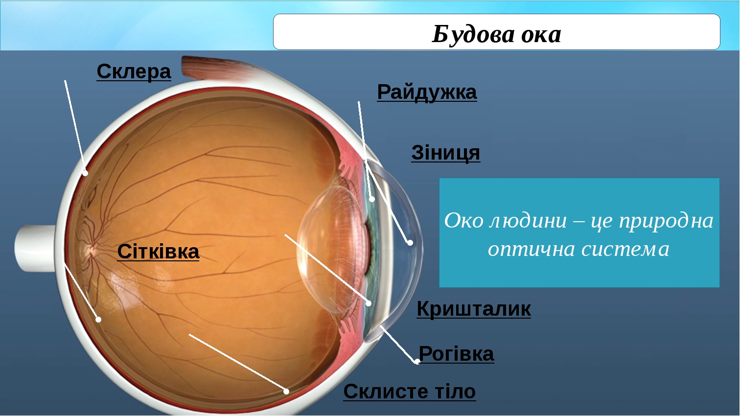 Ока на разварках р13